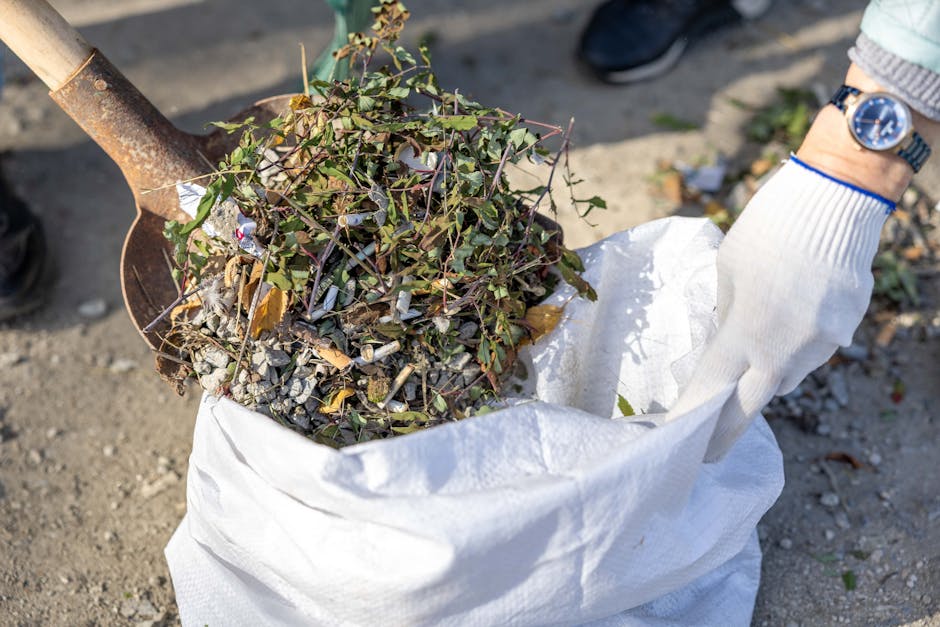 A person wearing a white glove is standing outdoors on a gravel surface, holding a large white woven polypropylene sack filled with mixed garden waste including small green plants, twigs, and dried leaves. The person’s wristwatch is visible, showing a dark strap and a round blue dial. The sack is open at the top and appears to contain a substantial amount of organic debris, suggesting a process of garden waste collection or disposal. In the background, part of a garden spade with a rusted metal blade and wooden handle is visible, indicating active gardening or site clearance activity. The scene is illuminated by natural daylight, highlighting the textures of the plant matter and the rough gravel surface. This visual context relates to independent waste handling or garden clearance services offered by Rubbish Removal Highbury, aligning with the focus on alternative rubbish and garden waste removal methods.